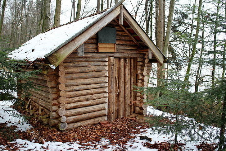 tømmerhytte, blokk hus, skog, natur, Vinter, hjem, hytta