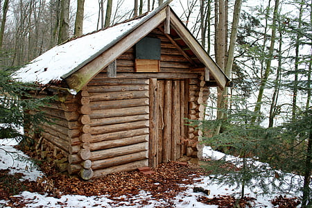 log cabin, block house, forest, nature, winter, home, hut