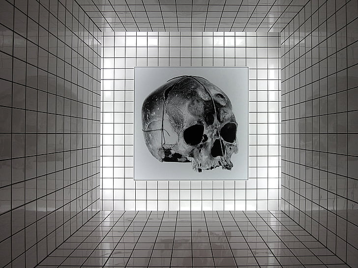 konst, skalle, Centre pompidou, Raynauds, installation