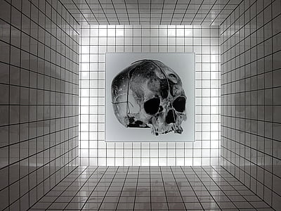umenie, lebka, umelecké múzeum Centre pompidou, Raynaudov, Inštalácia