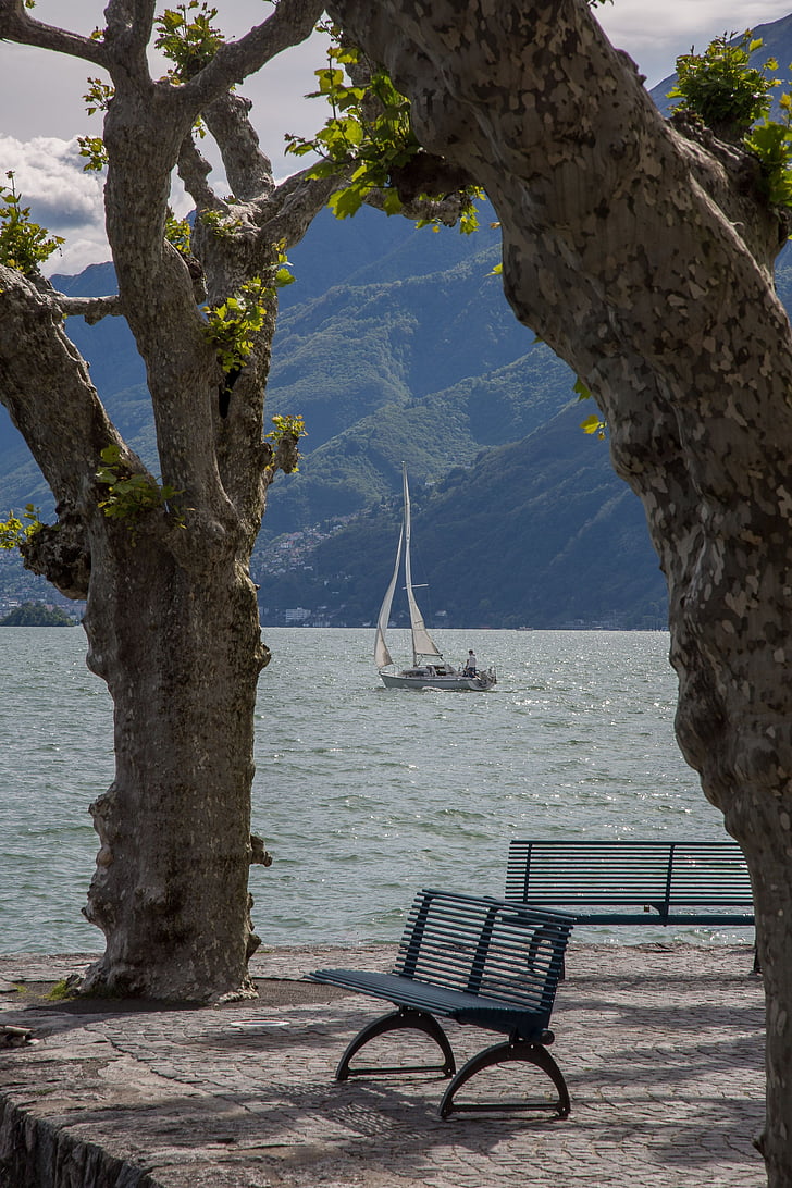 sjön, Lago maggiore, Holiday, segelbåt