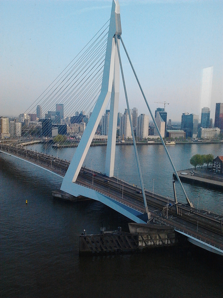 erasmus bridge, cable stayed bridge, most beautiful bridge of rotterdam, river crossing, from center to south, picture taken from wilhelmina pier