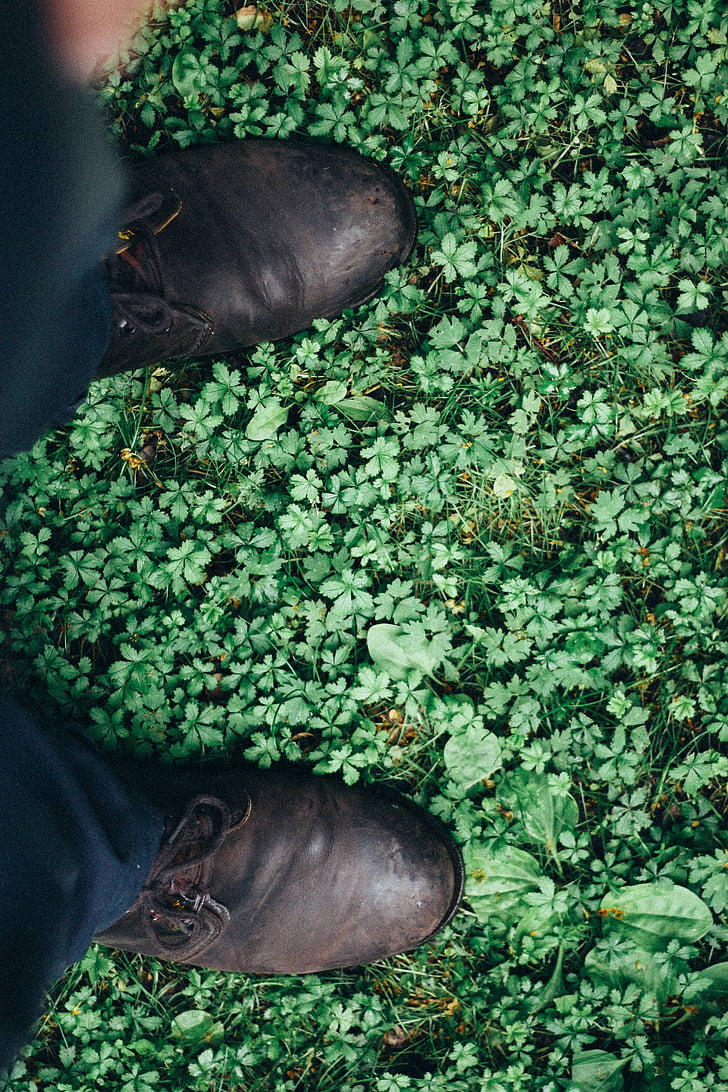 foliage, footwear, grass, leather, leather shoes, leaves, outdoors