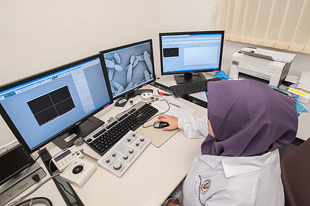 mikroskop elektron scanning, Universiti malaysia sabah, penelitian Bioteknologi institute