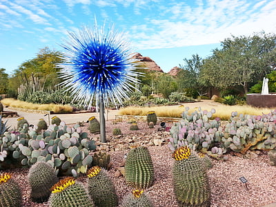 desert, botanical, gardens, cacti, dry, blue, chihuly exhibit
