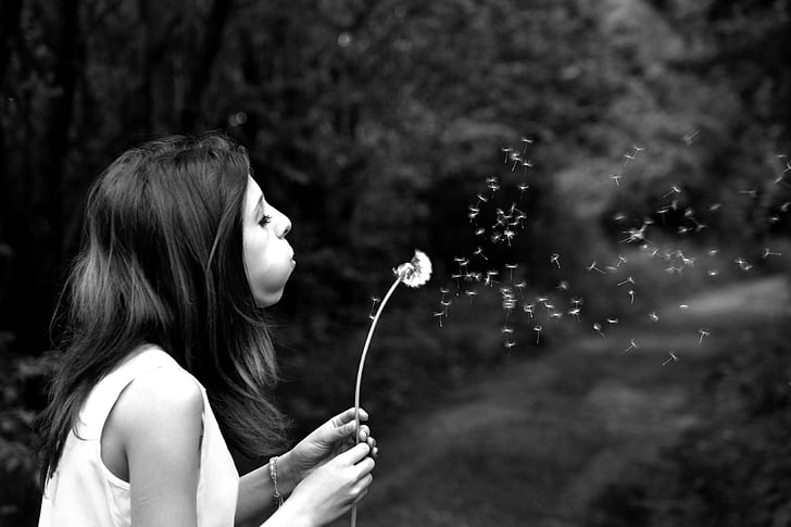 grayscale, photography, woman, blowing, flower, Girl, Dandelion