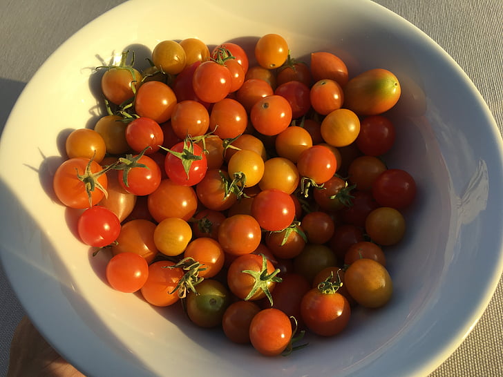 tomates, tomates cherry, plato con tomates