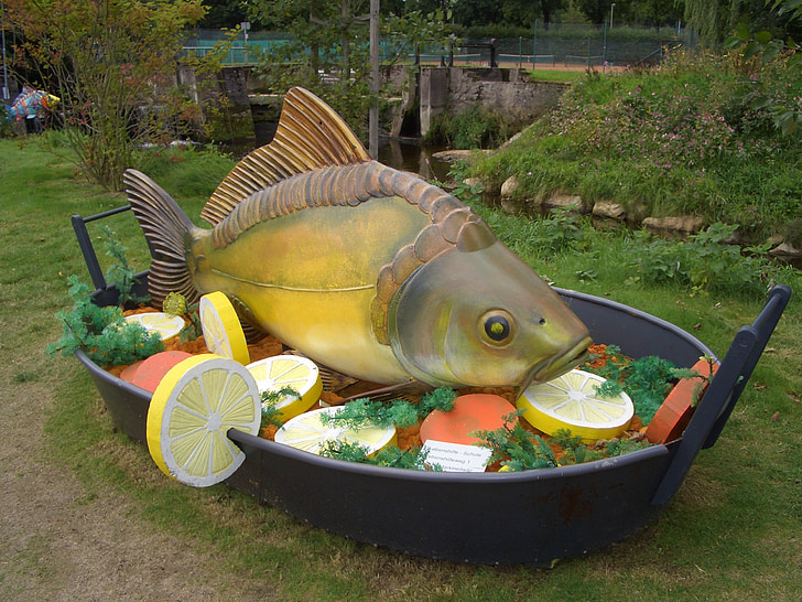 vườn Hiển thị, Marktredwitz, cá chép