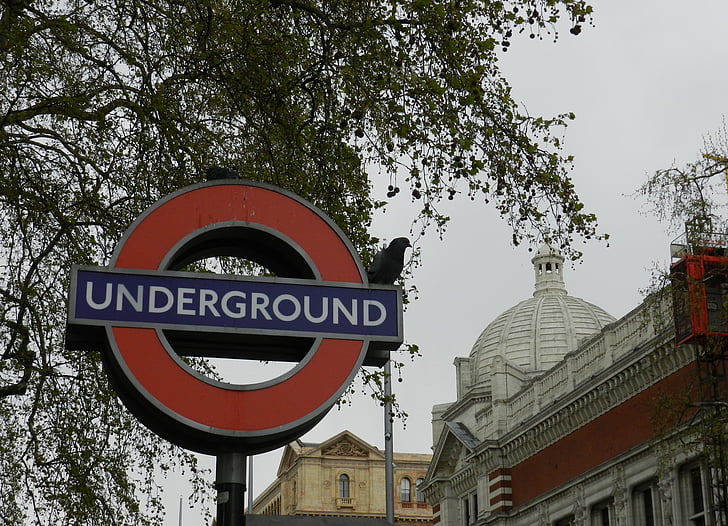 Londres, metro, ciudad, árbol, cielo gris, metro, placa de