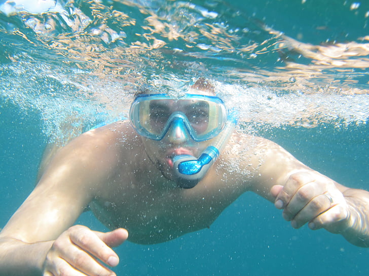 diving, snorkeling, sea, koh tao