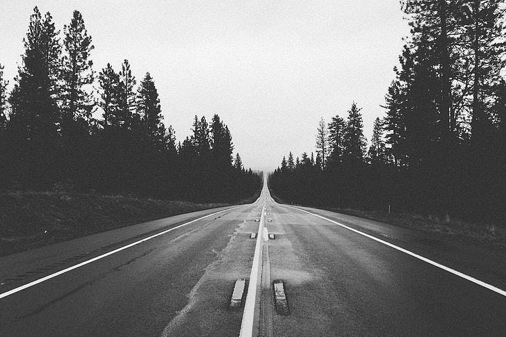 estrada, em linha reta, futura, caminho, floresta, triste, solitário