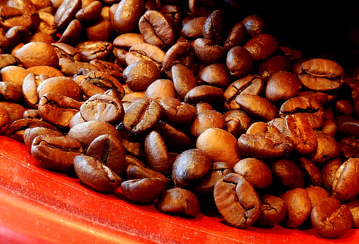 kava, kavna zrna, aromo, kofein, pražena, praženje, fižol