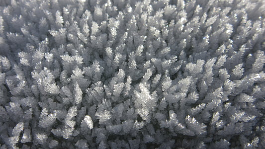 Eiskristalle, ghiaccio, hoarfrost, freddo, inverno, cristalli, molti