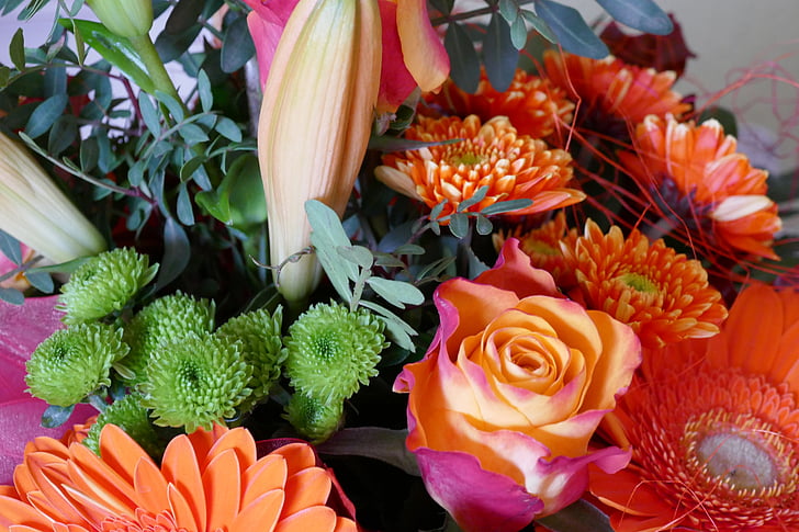 λουλούδια, Στράους, άνθος, άνθιση, μπουκέτο, γενέθλια, χρώματα του φθινοπώρου