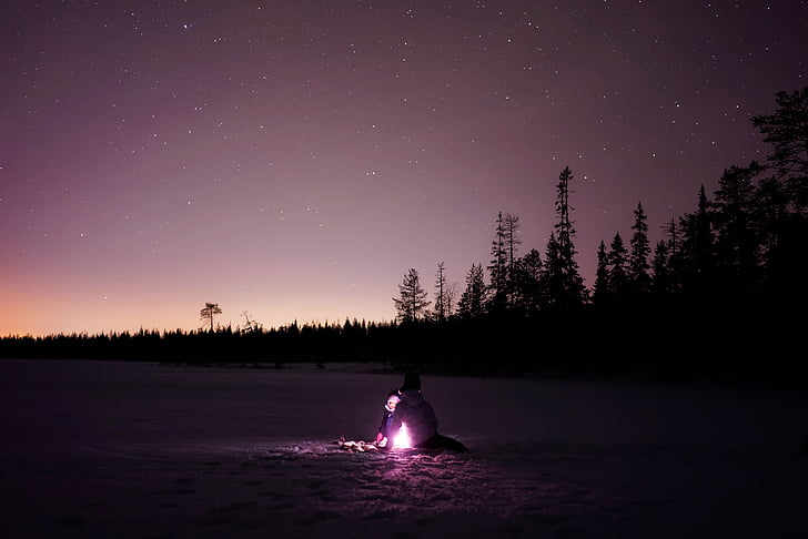 finland, stars, sky, night, evening, landscape, forest