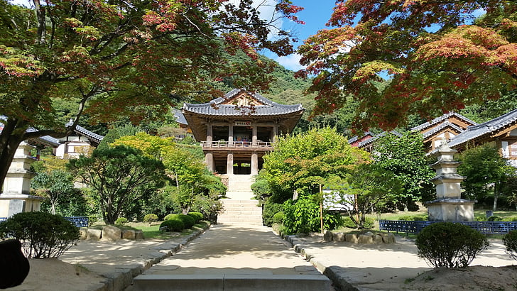 Koreja, pastāvīgas uzturēšanās tiesības, buseoksa templis, sadaļa, templis, ainava, krāsains