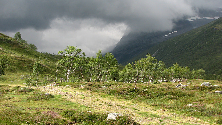 Trollheimen, trollhetta, Norvegija, kalnų, Gamta, kraštovaizdžio, lauke