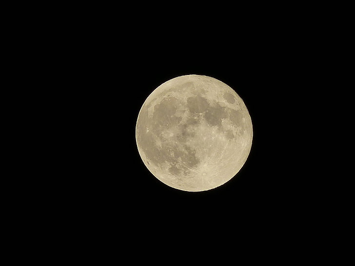 polna luna, luna, noč, mesečini, planet, cuckold, prostor