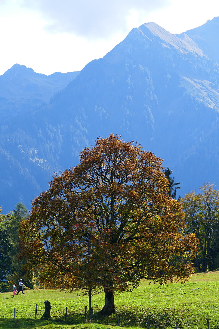 rudens nuotaika, kalnai, rudenį, Alpių, kraštovaizdžio, Gamta, medis