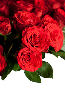róże, bukiet, kwiaty, Gratulacje, Róża-, czerwony, Natura