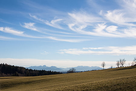 Hårtørrer, landskab, bjerge, Alpine, Oberbayern, forår, træer