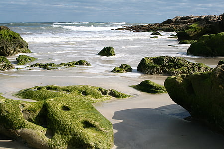 Oceaan, strand, Roche, zee, kustlijn, natuur, Rock - object