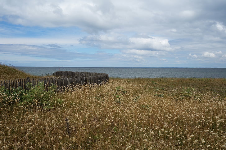noskaņojums, Atlantijas, Brittany, kāpu, Beach grass, programma Outlook, ainava