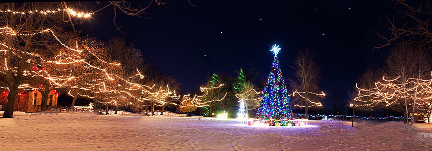 christmas town, xmas tree, winter, holiday, season, night, village