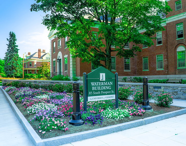 universitet, University of vermont, Burlington, Vermont, blommor, Waterman byggnad