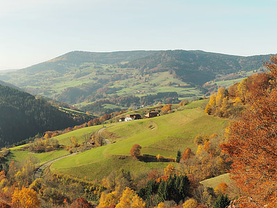 maisema, Luonto, syksyllä, vuoret, puut, Metsä, Schwarzwaldin