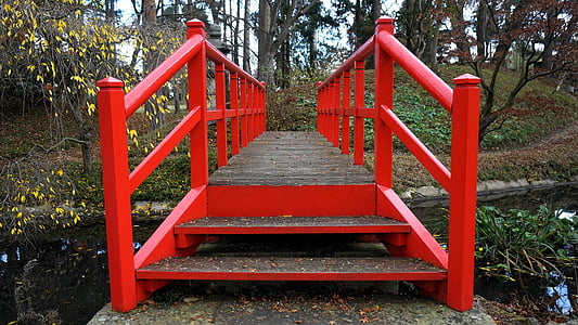 ponte, passarela, de madeira, caminho, ao ar livre, verde, Parque