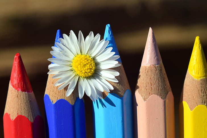 Ручки пір'яні, дерев'яних кілочків, кольорові олівці, барвистий, колір, різні кольорові олівці, папір, олівці