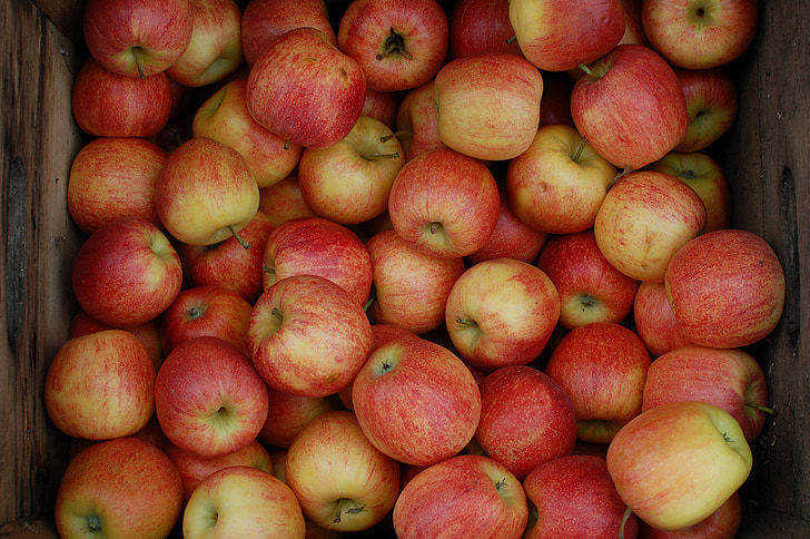 äpplen, Crate, Orchard, frukt, mat, fräschör, ekologisk