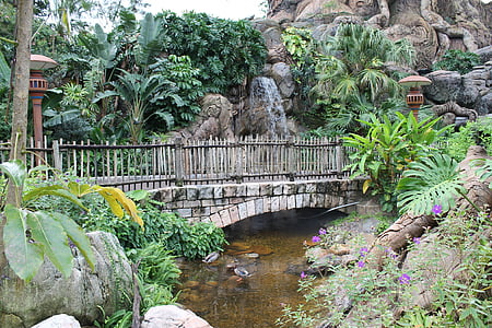 мост, водопад, природата, вода