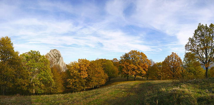 autumn, landscape, fall, trees, forrest, sky, nature