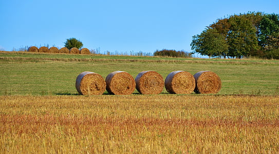 field, agriculture, straw bales, hay bales, landscape, autumn, field crops