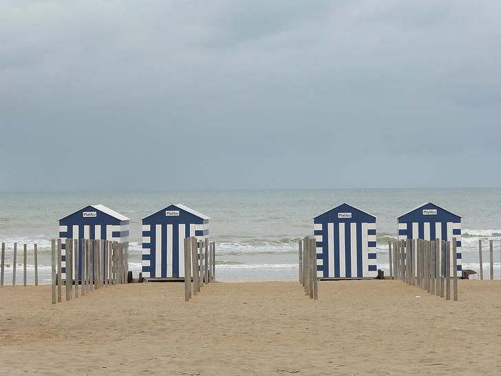 coasta, Belgia, plaja colibă, mare