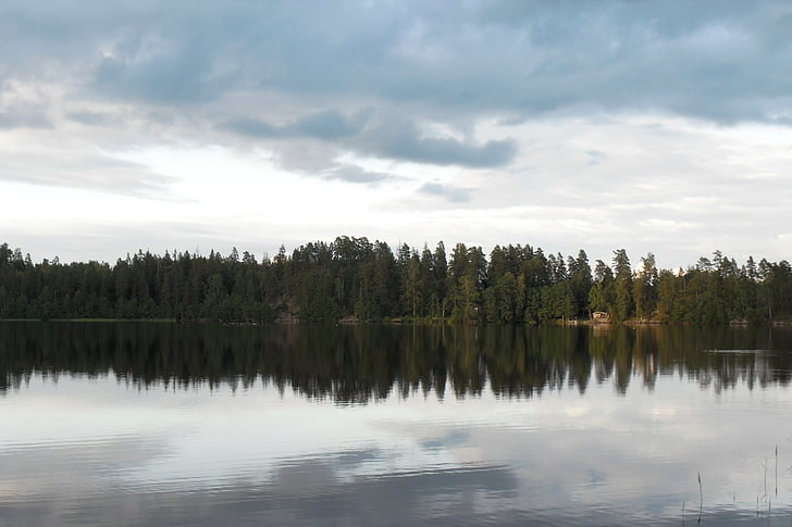 stensjö, sweden, lake, forest, water, nature, landscape