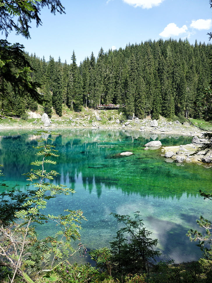 sjön carezza, Dolomiterna, skogen, landskap, naturen, vatten, Utomhus