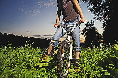 BMX, bike, metsa, tsükli, tegevus, ülesanded, tasakaal