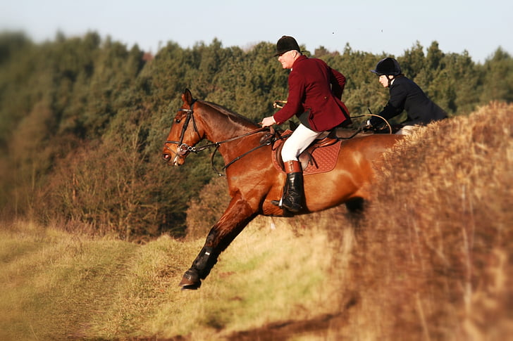 horse, jump, equestrian, gallop, fence, hunt, field