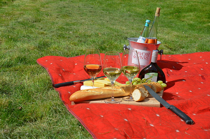 picnic, savoir vivre, wine, blanket, rush
