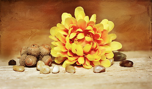 flor, dekoblume, flors de tela, flor, flor, groc, pedra