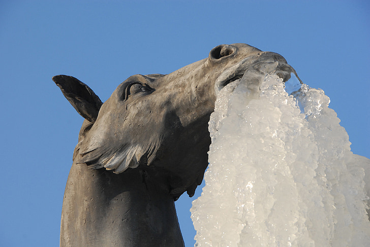 con ngựa, bức tượng, băng, gel, mùa đông, lạnh, nhũ đá