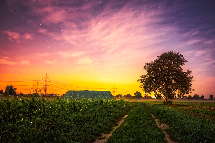 sunset, dusk, sky, clouds, stars, trees, silhouettes
