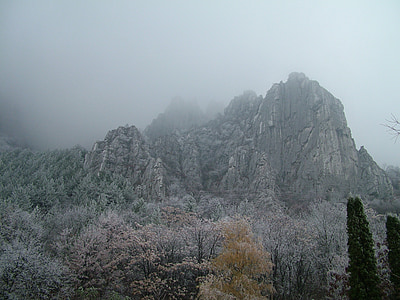 Vratsa, vratzata gorge, Dinginkan, kabut, kabut, musim dingin, Bulgaria