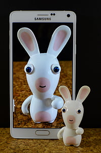 zajca, bela, zabavno, smartphone, Samsung