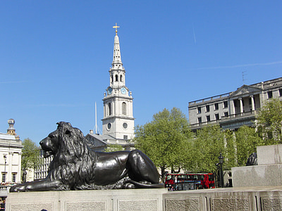 Trafalgar square, London, lejon, kung lejon, kungariket, Engelska, Storbritannien