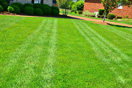 lawn care, lawn maintenance, lawn services, grass cutting, lawn mowing, grass, architecture