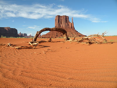 Valle del monumento, deserto, tronco